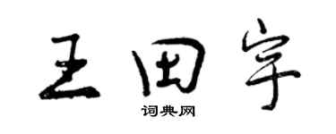 曾慶福王田宇行書個性簽名怎么寫