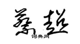 朱錫榮蔡超草書個性簽名怎么寫