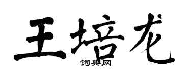 翁闓運王培龍楷書個性簽名怎么寫