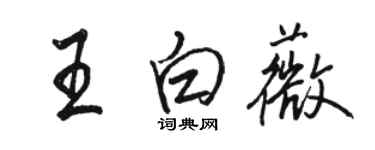駱恆光王白薇行書個性簽名怎么寫