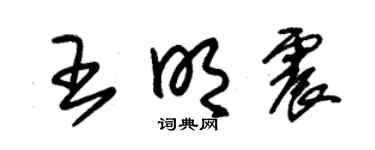 朱錫榮王明震草書個性簽名怎么寫