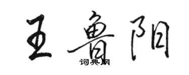 駱恆光王魯陽行書個性簽名怎么寫