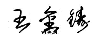 朱錫榮王金鑄草書個性簽名怎么寫