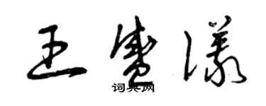 曾慶福王盛儀草書個性簽名怎么寫