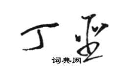 駱恆光丁聖草書個性簽名怎么寫