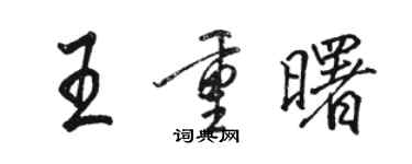 駱恆光王重曙行書個性簽名怎么寫