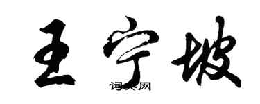 胡問遂王寧坡行書個性簽名怎么寫