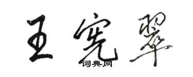 駱恆光王憲翠行書個性簽名怎么寫