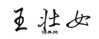 駱恆光王壯女行書個性簽名怎么寫