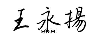 王正良王永揚行書個性簽名怎么寫