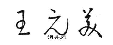 駱恆光王元美草書個性簽名怎么寫