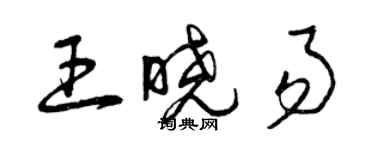 曾慶福王曉易草書個性簽名怎么寫