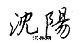 王正良瀋陽行書個性簽名怎么寫