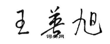 駱恆光王英旭草書個性簽名怎么寫