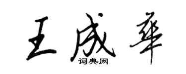 王正良王成華行書個性簽名怎么寫