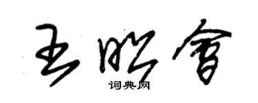 朱錫榮王昭會草書個性簽名怎么寫