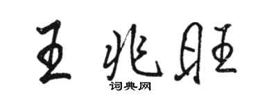 駱恆光王兆旺行書個性簽名怎么寫