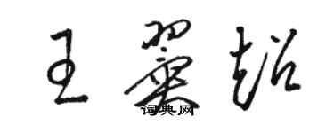 駱恆光王翼超草書個性簽名怎么寫