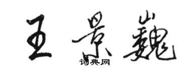 駱恆光王景巍行書個性簽名怎么寫