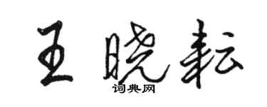 駱恆光王曉耘行書個性簽名怎么寫