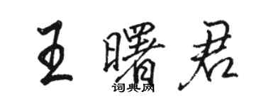 駱恆光王曙君行書個性簽名怎么寫