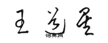 駱恆光王道星草書個性簽名怎么寫