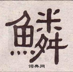 黃葆戉千字文中鱗的寫法