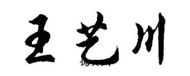 胡問遂王藝川行書個性簽名怎么寫