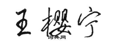 駱恆光王櫻寧行書個性簽名怎么寫