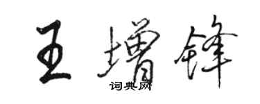 駱恆光王增鋒行書個性簽名怎么寫