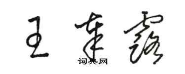 駱恆光王奉露草書個性簽名怎么寫