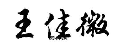 胡問遂王佳微行書個性簽名怎么寫