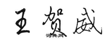 駱恆光王賀威行書個性簽名怎么寫