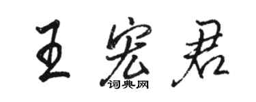 駱恆光王宏君行書個性簽名怎么寫