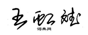 朱錫榮王虹斌草書個性簽名怎么寫