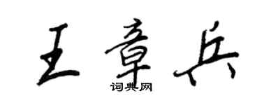 王正良王章兵行書個性簽名怎么寫
