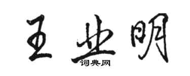 駱恆光王業明行書個性簽名怎么寫