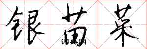 錢沛雲銀苗菜行書怎么寫