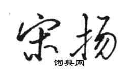 駱恆光宋揚行書個性簽名怎么寫