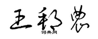 曾慶福王邦農草書個性簽名怎么寫