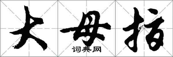 胡問遂大母指行書怎么寫