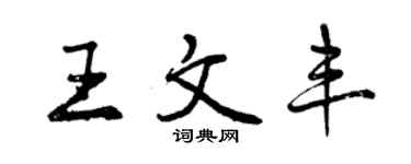 曾慶福王文豐行書個性簽名怎么寫