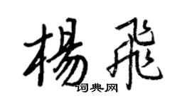 王正良楊飛行書個性簽名怎么寫