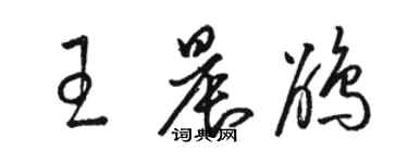 駱恆光王晨鵑草書個性簽名怎么寫