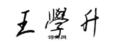王正良王學升行書個性簽名怎么寫