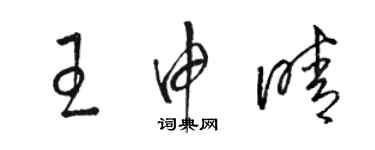 駱恆光王申晴草書個性簽名怎么寫