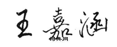 駱恆光王嘉涵行書個性簽名怎么寫