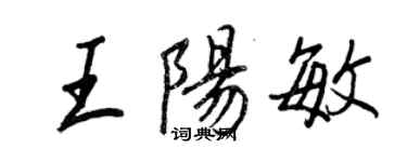 王正良王陽敏行書個性簽名怎么寫