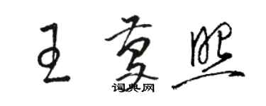 駱恆光王慶照草書個性簽名怎么寫