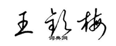 梁錦英王欽梅草書個性簽名怎么寫